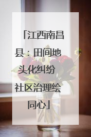江西南昌县：田间地头化纠纷 社区治理绘同心